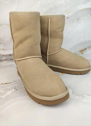 Угги женские высокие бежевые ugg australia classic