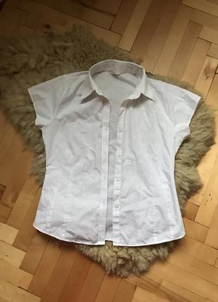 Рубашка белая котоновая рубашка блуза zara сорочка жіноча блуза