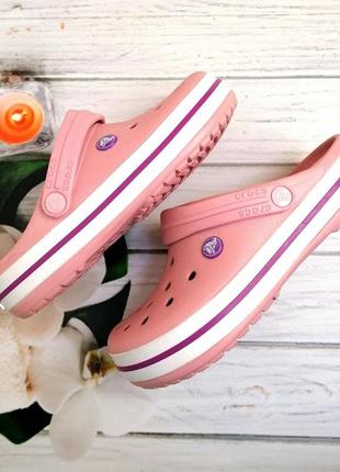 Жіночі крокси сабо crocs crocband clog pink rain/wild orchid пудрові