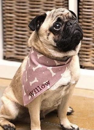 Бандана для собаки1 фото