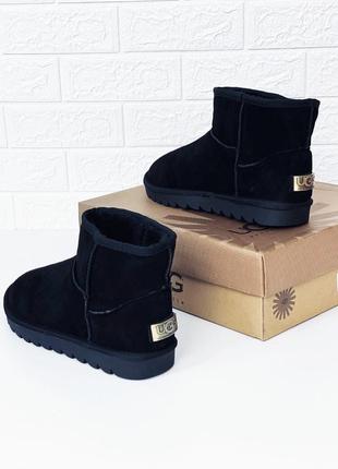 Чоловічі замшеві міні вуха ugg замш зима міні