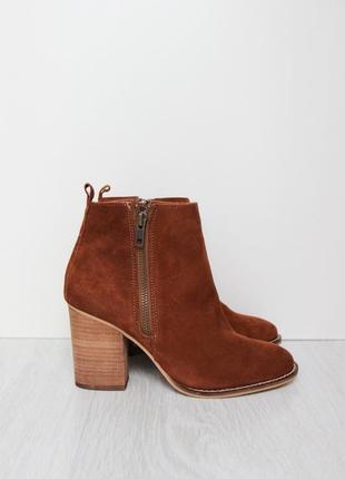 Замшеві черевики steve madden