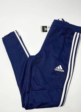 Темно-сині джогеры adidas football tiro 213 фото