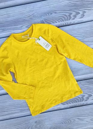 Базова кофта реглан 2