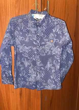 Стильна сорочка