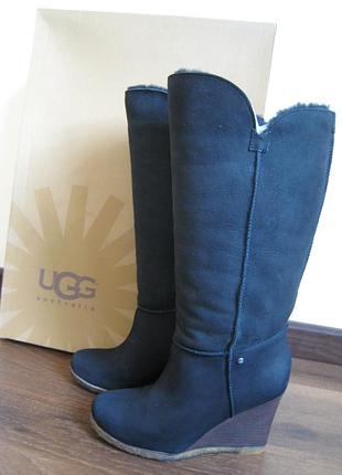 Зимние женские сапоги ugg