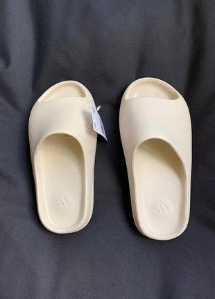 Шлепанцы тапочки сланцы yeezy slide bone2 фото