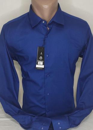 Рубашка мужская fiorenzo vd-0061 синяя однотонная приталенная турция стретч, стильная с длинным рукавом кнопки