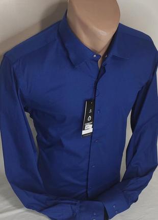 Рубашка мужская fiorenzo vd-0061 синяя однотонная приталенная турция стретч, стильная с длинным рукавом кнопки5 фото