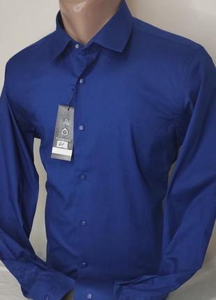 Рубашка мужская fiorenzo vd-0061 синяя однотонная приталенная турция стретч, стильная с длинным рукавом кнопки4 фото