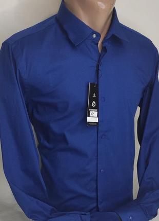 Рубашка мужская fiorenzo vd-0061 синяя однотонная приталенная турция стретч, стильная с длинным рукавом кнопки2 фото
