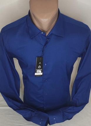 Рубашка мужская fiorenzo vd-0061 синяя однотонная приталенная турция стретч, стильная с длинным рукавом кнопки6 фото