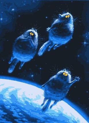 Картина за номерами до зірок artissimo 40*50 pn3718