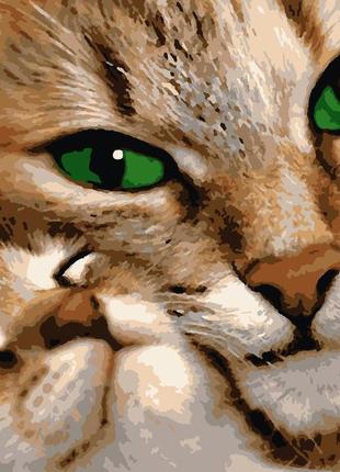 Картина за номерами мамина любов artissimo 50*60 pn1545