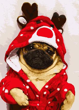 Картина по номерам  мопсик artissimo 40*50   pn5344