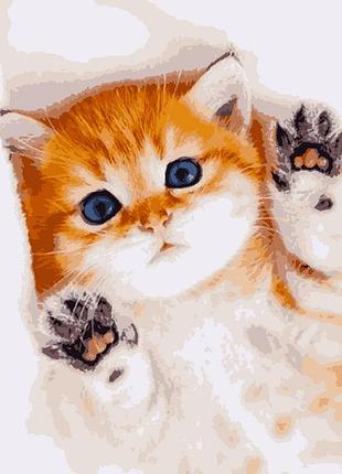 Картина по номерам пушистая радость  artissimo 50*60    pnx0670