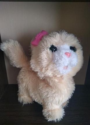 Hasbro інтерактивна іграшка my bouncin kitty 2
