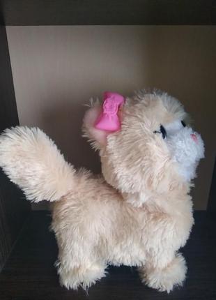 Hasbro інтерактивна іграшка my bouncin kitty 3