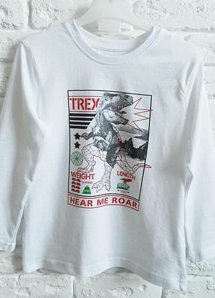 Реглан на мальчика primark