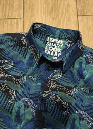 Красивая рубашка в динозаврах2 фото