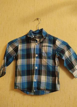 Сорочка довгий рукав