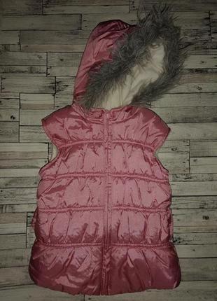Жилетка демисезон