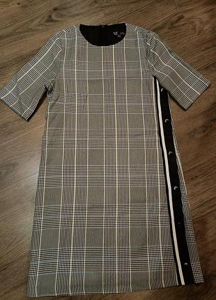 Сукня клітина zara ррхс
