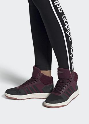 Кросівки adidas hoops 2.0 mid оригінал