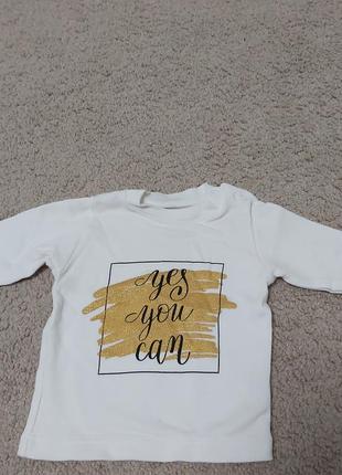 Футболка кофта реглан