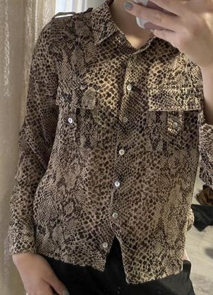 Стильная блузка змеиный принт . немного просвечивается