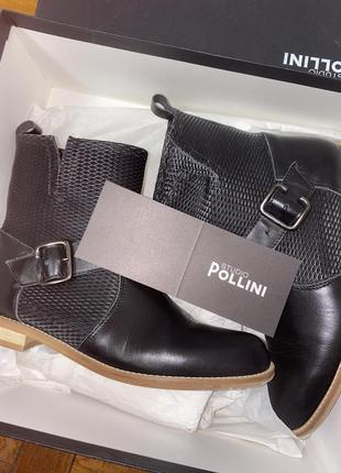 Ботінки studio pollini