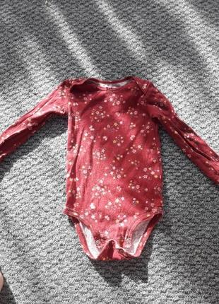 Боді довгий рукав дешево