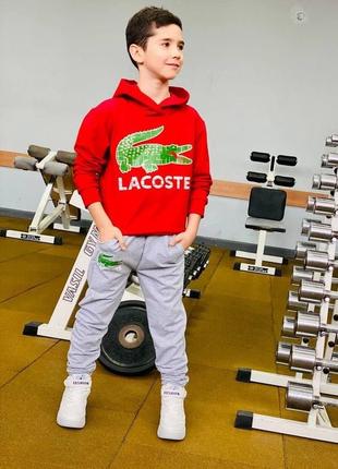 Стильный спортивный костюм lacoste4 фото