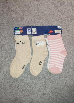 Шкарпетки шкарпетки носки носочки1 фото