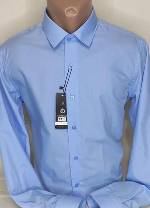 Мужская рубашка голубая однотонная приталенная fiorenzo vd-0064 турция, стильная с длинным рукавом хлопок