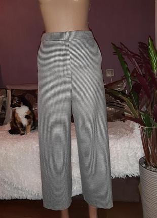 Кюлоты брюки гусиная лапка