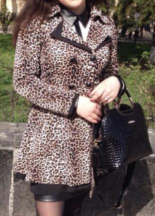 Весняний плащик