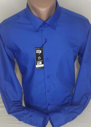 Мужская рубашка синяя однотонная приталенная fiorenzo vd-0063 турция, стильная с длинным рукавом хлопок6 фото
