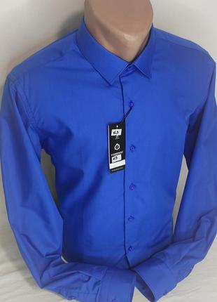Мужская рубашка синяя однотонная приталенная fiorenzo vd-0063 турция, стильная с длинным рукавом хлопок5 фото