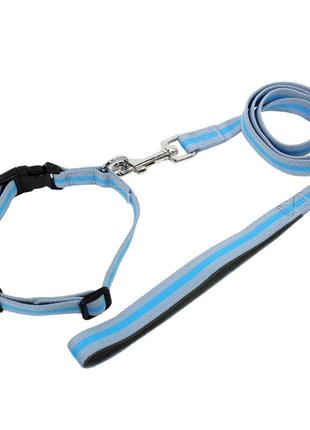 Ошейник для собак tuff hound tc00305 blue gray (2.0*38-51) с поводком принтом