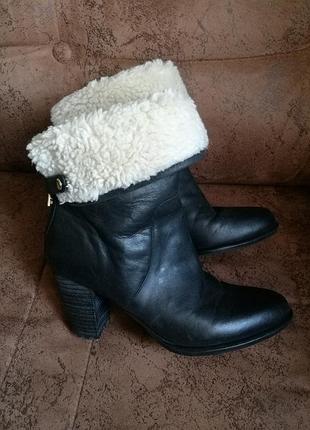 Сапоги tommy hilfiger