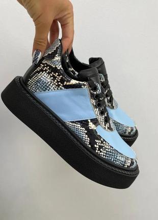 Дизайнерські кеди cool rst 🐻 натуральна шкіра 36-41