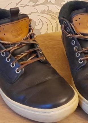 Черевики timberland