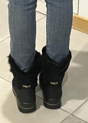 Цигейка зимові чоботи olang (італія)