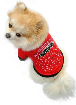 Футболка кофта фирмы you er le для маленькой собачки