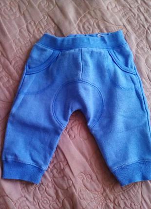 Штани спортивні