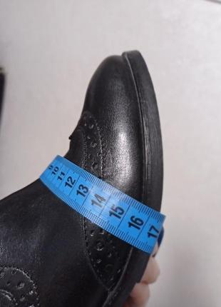 Кожаные фирменные базовые женские ботинки от zign  36.5-37 р3 фото
