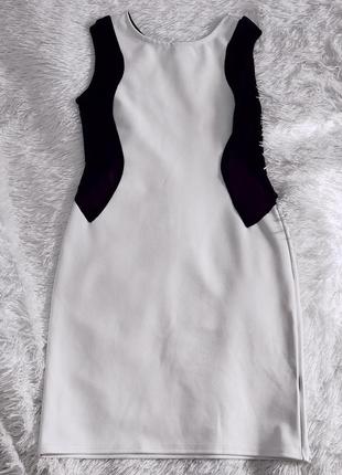 Сукня з прозорими вставками liquid6 фото