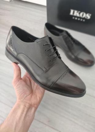 Шкіряні чоловічі туфлі від українського виробника