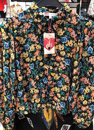 Літня жіноча шифонова сорочка з довгим рукавом з комірцем